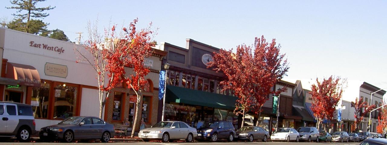 Window replacement in Sebastopol, California